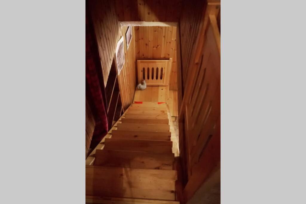 Chalet Indipendente In Centro A Valtournenche Kültér fotó